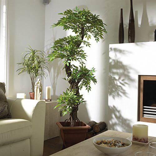 Home Accents